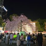 お花見例会